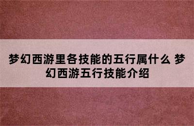 梦幻西游里各技能的五行属什么 梦幻西游五行技能介绍